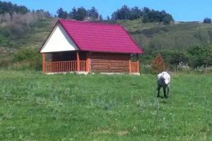 Gorny priyut Tourist base, Zmeinogorsk