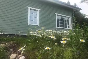 Domik u lesa Guest house, Lakhdenpokhya