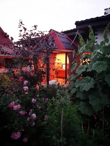 Villa Sofia - 50