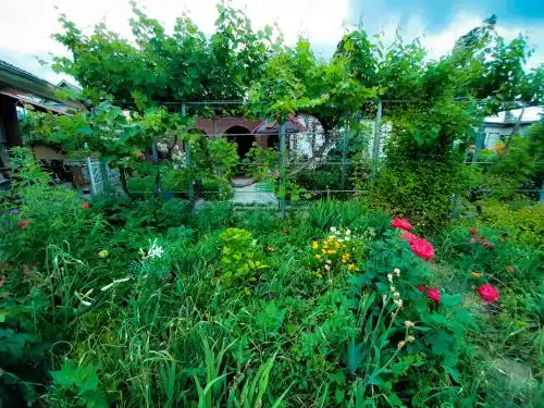 Villa Sofia - 75