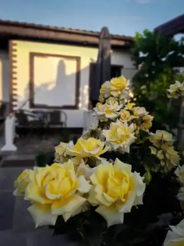 Villa Sofia - 22