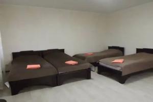 agroekousadba Charaunitsa Farm, Nes'vezh