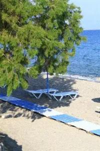 Kalimera - 6