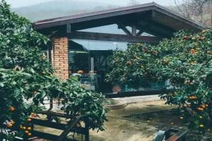 Gostevoy Dom Mirai, Gudauta