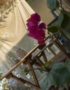 Valentina Boutique - 17