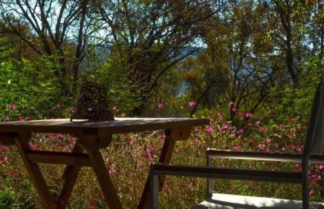 Valentina Boutique - 12