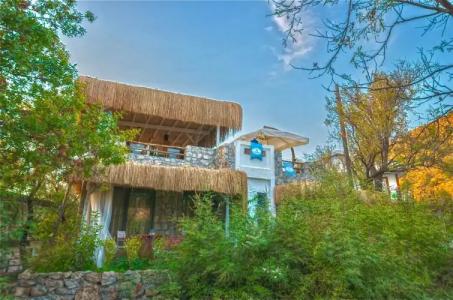 Valentina Boutique - 7