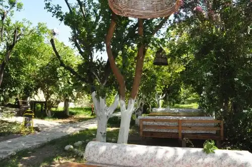 San Simon - 10
