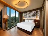 Collection Superior Double room with city and forest view