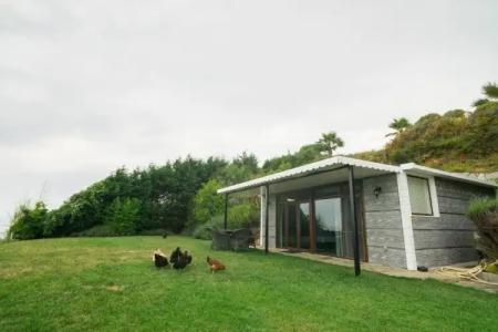 Palm Beach Şile Villas - 5