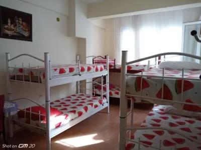 Hzd Apartments Hostel - 17