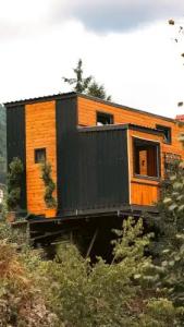 YESSİ BUNGALOV - 57