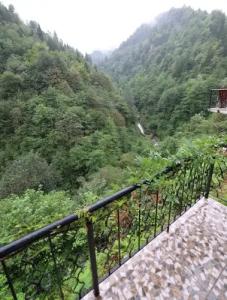 YESSİ BUNGALOV - 75