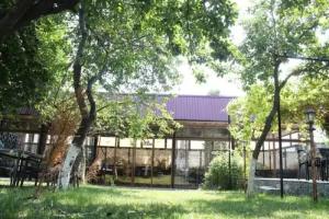 Firuze, Sheki