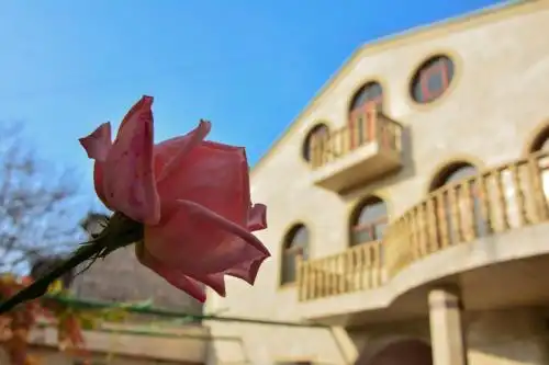 Grand Villa & VIP Tours - 52