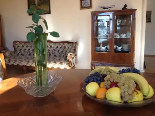 Grand Villa & VIP Tours - 67
