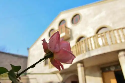 Grand Villa & VIP Tours - 7