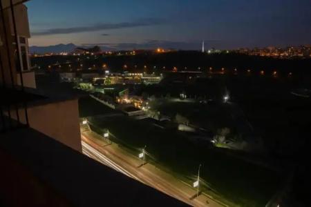 Ris Dalma Collection - 132