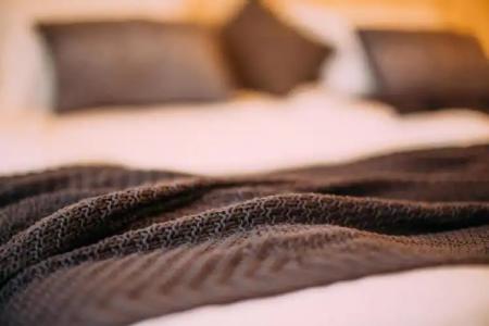 Ris Dalma Collection - 74