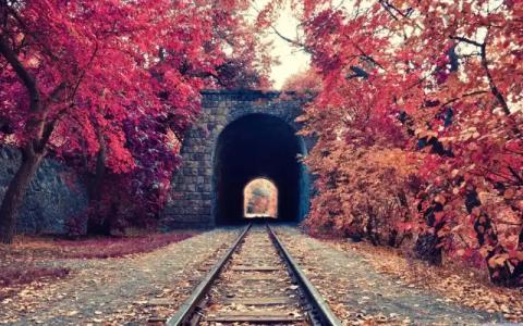 Rest Guest House - 25