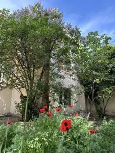 Popock City Center Guest house - 12