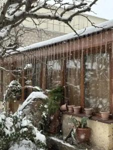 Popock City Center Guest house - 11