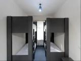 Bunk Bed in Male Dormitory Room 