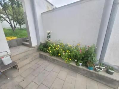 GuestHouse Crown of - 14