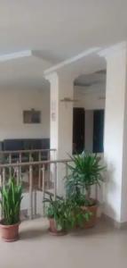 VAN  Restaurant Complex - 5