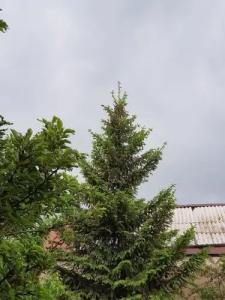 Mountain Lake Villa B&B - 15