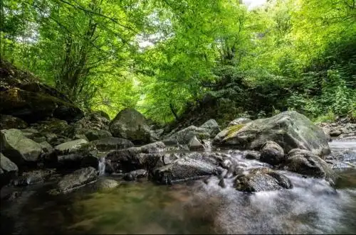 Jivanq B&B Mini-hotel - 0