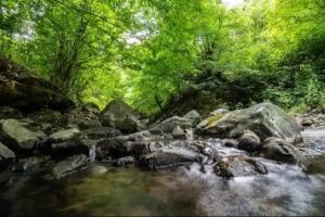 Jivanq B&B Mini-hotel, Alaverdi