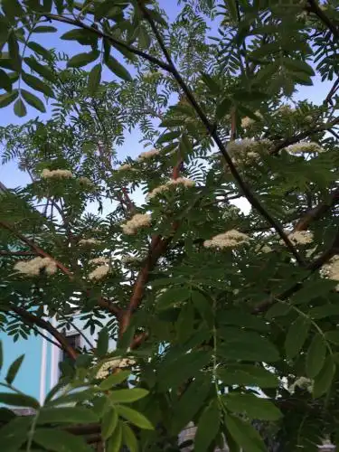 EDEM Mini-hotel - 22