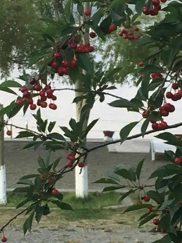 EDEM Mini-hotel - 21