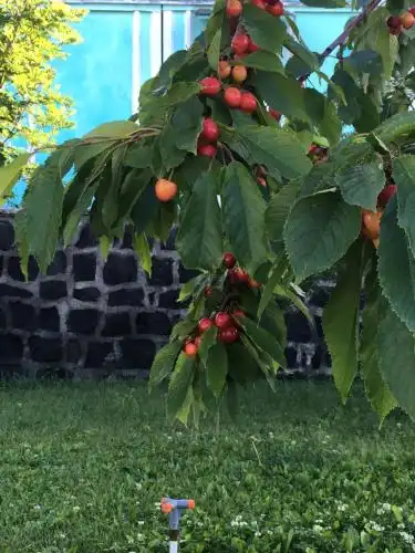 EDEM Mini-hotel - 20