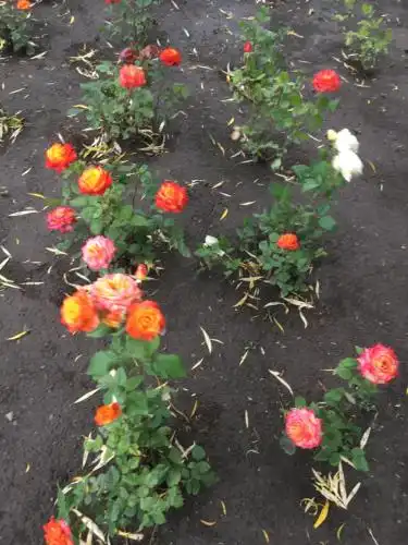 EDEM Mini-hotel - 18