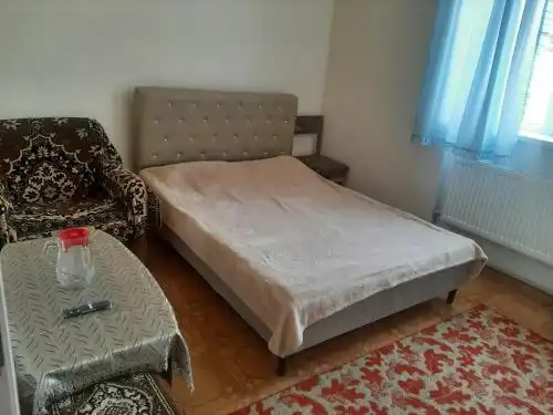 Ani Guest House - 6