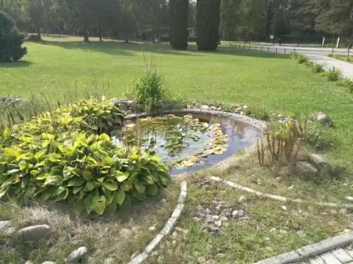 СОЦ Свитанок - 20