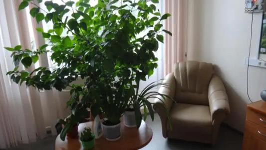 Sevmash sanatorii - 10