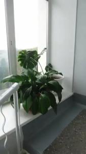 Sevmash sanatorii - 7