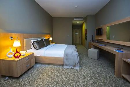 Ataol Can Termal & Spa - 20