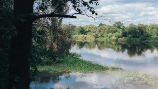 Serebrjanye kljuchi, Gomel'skaja oblast' - 19