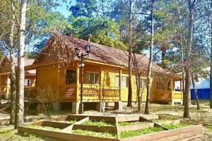 Kottedzh u ozera - 1 Cottage, Tyumen