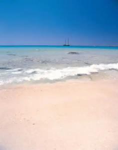 Riu Palace La Mola - 19