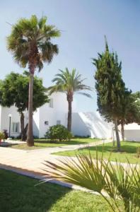 Riu Palace La Mola - 20