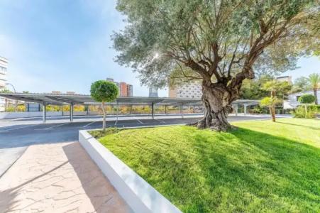 Port Alicante City & Beach - 21