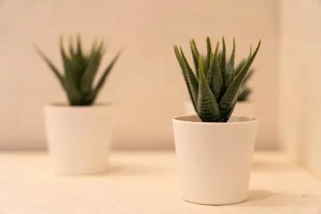 Mirablue Luxury Residences - 128