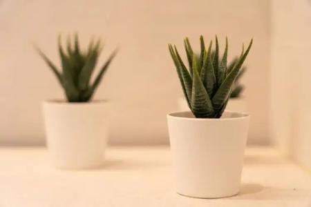 Mirablue Luxury Residences - 92