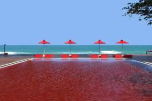 The Library, Chaweng Beach