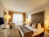 Standard room with land view